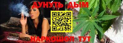 сатива Лесосибирск