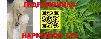 сатива Лесосибирск