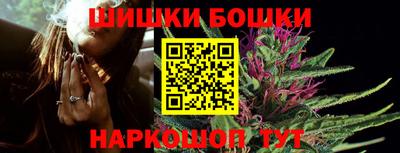 сатива Лесосибирск